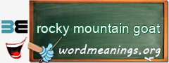 WordMeaning blackboard for rocky mountain goat